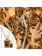 Essencia Cascas e Folhas Plus 50ml