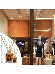 Essência Melissinha 50ml