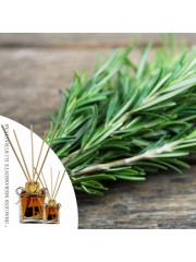 Essência Alecrim  50ml