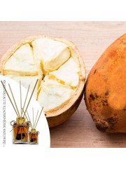 Essência Cupuacu e Castanho do Brasil 50ml