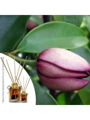 Essência Flçor de Trigo 50ml