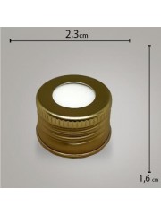 Tampa Metal Dourada C/ Furo R20