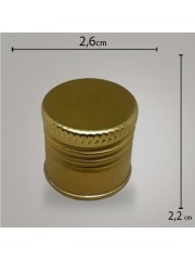 Tampa Metal Dourada R24