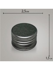 Tampa Metal Prata R24