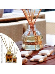 Essência Abricot & Basilic 50ml