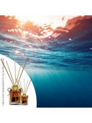 Essência Acqua MM 50ml