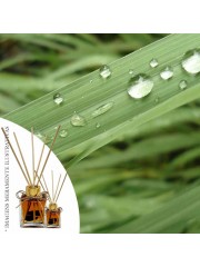 Essência Capim Limão