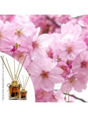 Essência Flor de Cerejeira 50ml