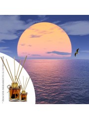 Essencia Intensidade 50ml