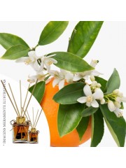 Essencia Magnólia C/ Flor de Laranjeira 50ml