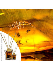 Essência Âmbar LB 50ml