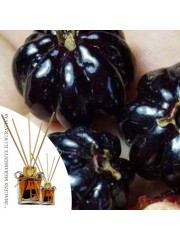 Essencia Pitanga Negra 50ml